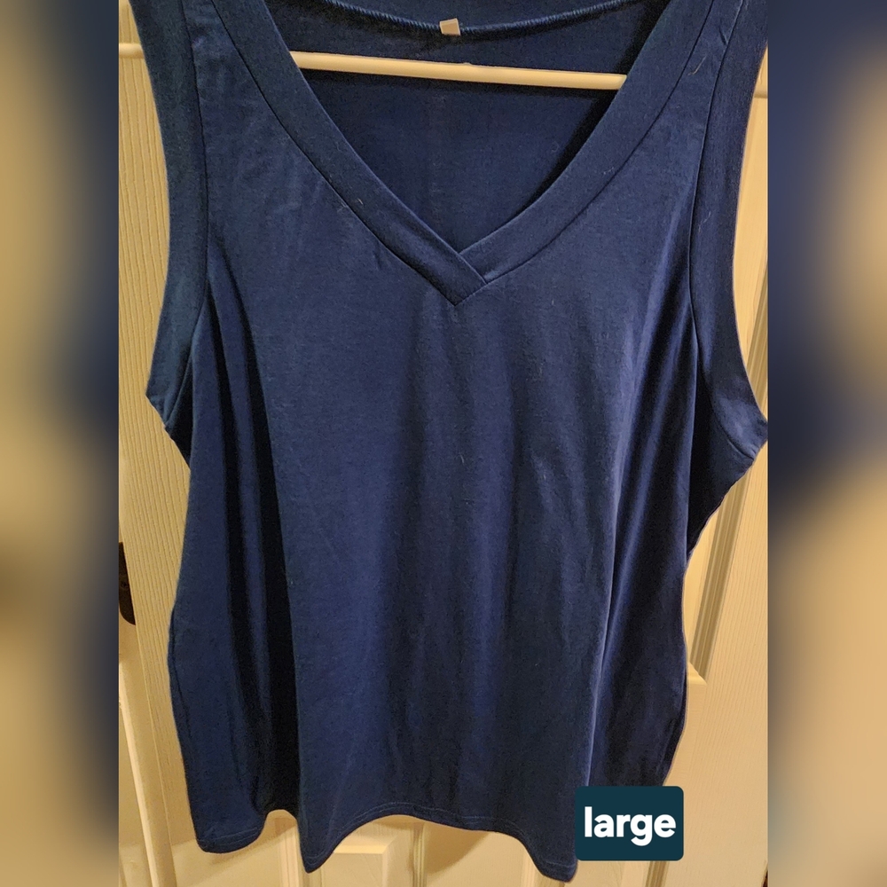 Women's Blue V-Neck Top